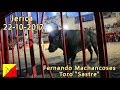 "Jerica 22-09-2017" Fernando Machancoses "Toro Sastre rompe barrotes"