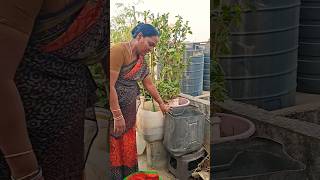 கிச்சன் #வேஸ்ட் #south #garden #organic #fertilicer #delhi #shorts #youtubeshorts