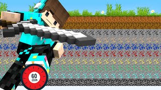 Minecraft Tapi HANYA 60 MENIT DI BUMI 100 LAPIS