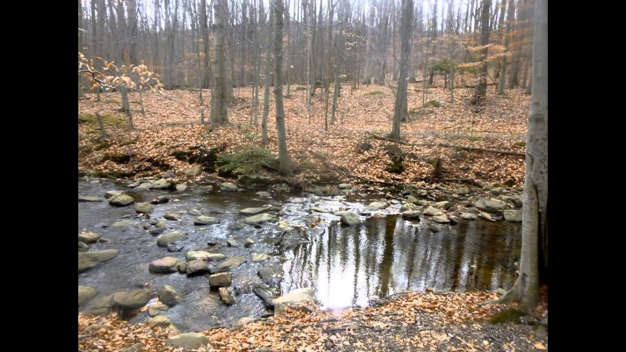 Hedden Park, Mine Hill, New Jersey, November 22, 2015 YouTube