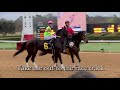 Take Me Out to the Race Track 2018