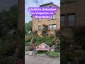 Ländliche Dekoideen und Rosenblüte im Vorgarten #landleben #vorgarten #rosenzauber
