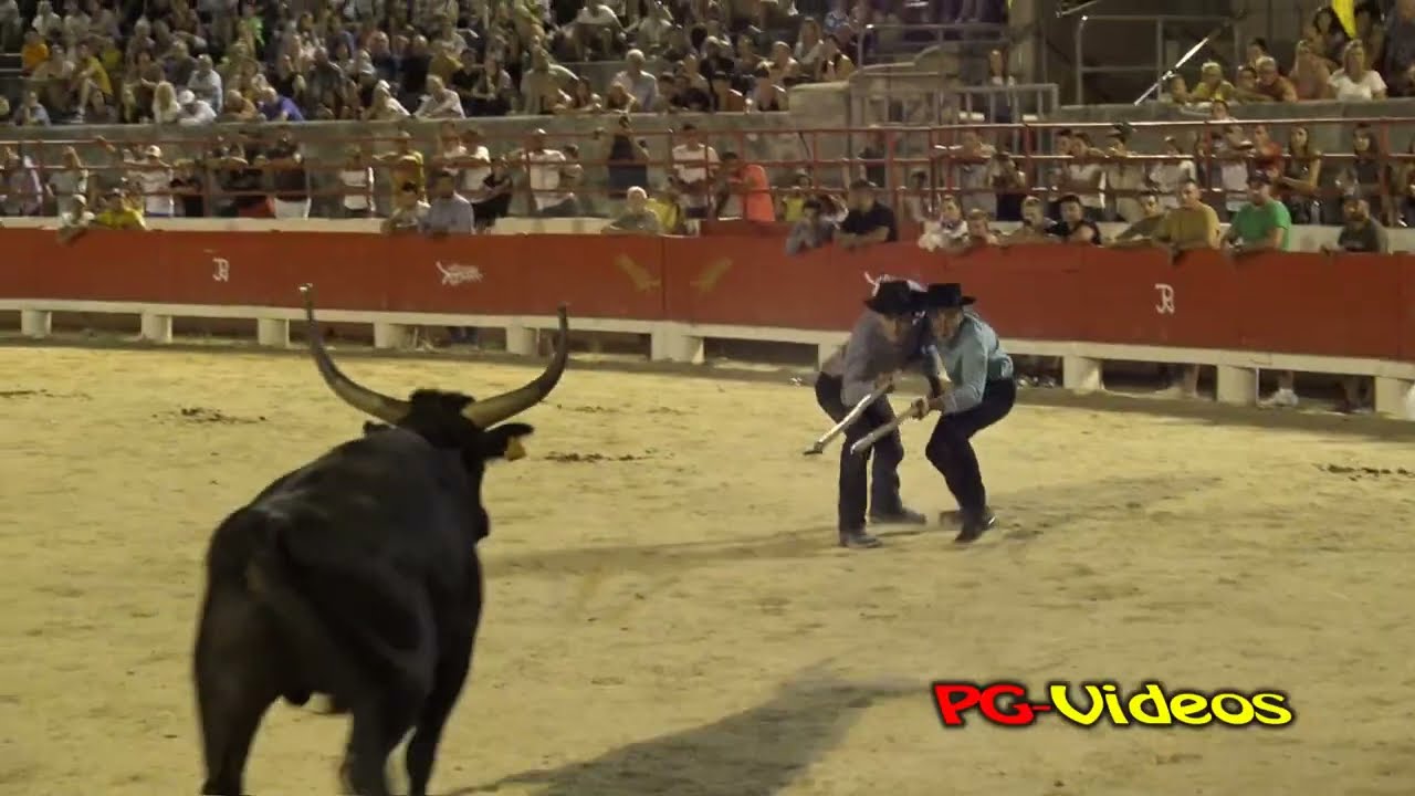 Olympiade Beaucairoises 26 juillet 2022