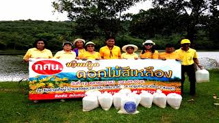 ลูกเสือชาวบ้านอำเภอเมืองสงขลาร่วมกันทำกิจกรรมปลูกป่าปล่อยปลา ครบยรอบ 2 ปี ในหลวง ร.๙