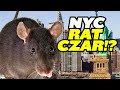 New York City Is Hiring a Rat Czar