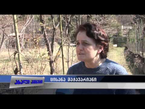 დაპირისპირება ტ/კ \"თრიალეთსა\" და გუბერნატორს შორის  26.03.2015