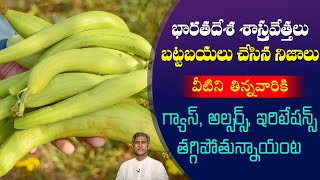 Nethi Beerakaya Health Benefits | Improve Skin Glow | Reduces Gas Problems |Dr. Manthena Health Tips