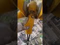 CRANE OPERATOR IOVER