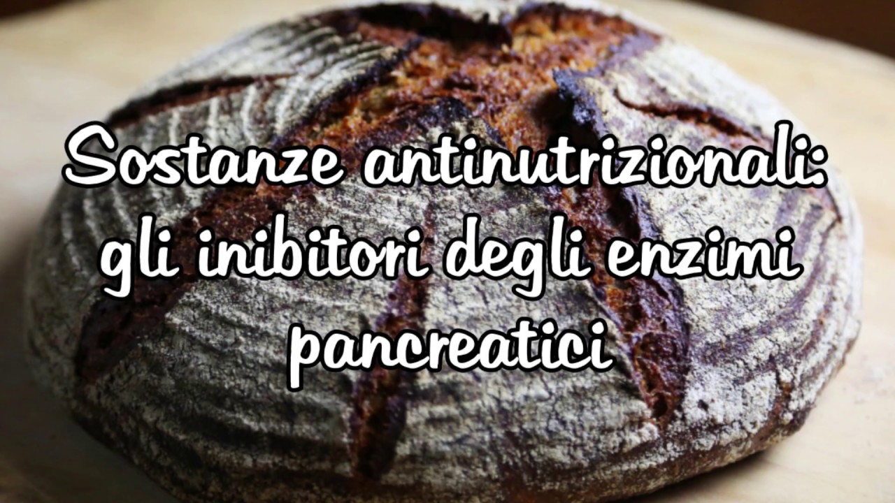 Sostanze antinutrizionali: gli inibitori degli enzimi pancreatici