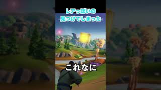 これめっちゃレア現象やろ【Fortnite/フォートナイト】