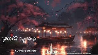 Adambarai Baluwamanam | ආඩම්බරයි බැලුවමනම් | S𝚘ng Pr𝚘duction lk | Slowed and Reverb | Lyrics