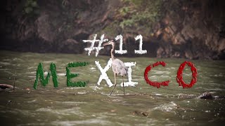 Mexico VLOG#11