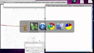 Doing the morphometrics and transferring them to the Spread Sheet Tutorial