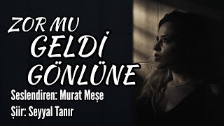 Zor Mu Geldi̇ Gönlüne - Seslendiren: Murat Meşe - Şiir: Seyyal Tanır Resimi