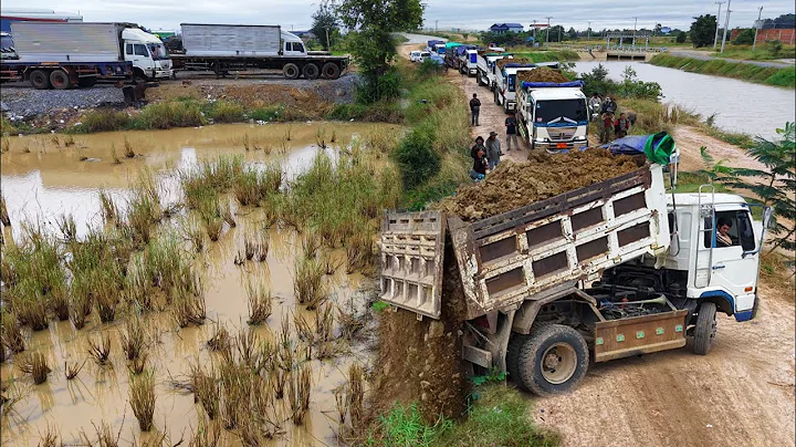 Perfectly Started A New Project!DumpTruck Pouring Delete feild Expert Skill Dozer D21P Pushing Soil