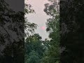 सूर्य ग्रहण 25 Oct 2022 Live Video || What is Solar Eclipse? | Solar Eclipse 2022 today अत्यंत सुंदर