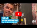 Mold Problems=Poor Air Quality! West End Heating &amp; Air #hvac #homemaintenance