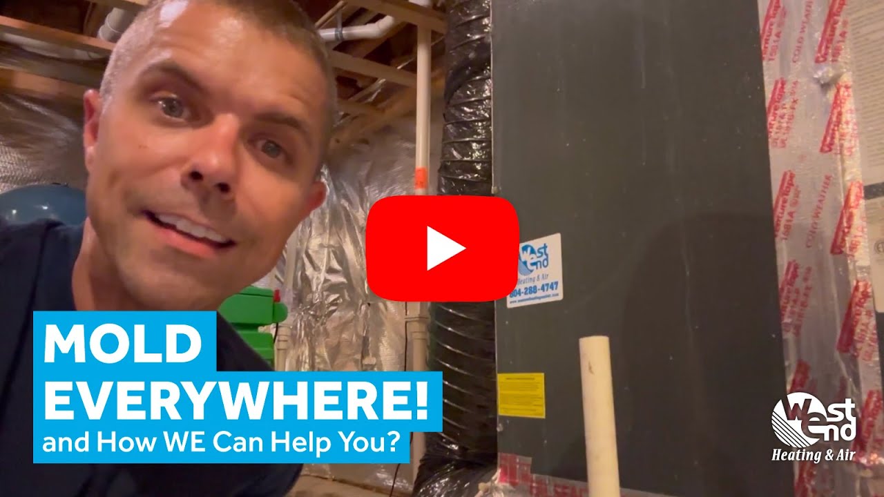 Mold Problems=Poor Air Quality! West End Heating & Air 