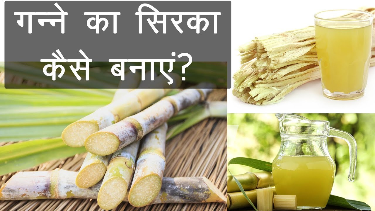 गन्ने का सिरका कैसे बनाये How to Make Vinegar Using Sugarcane? YouTube
