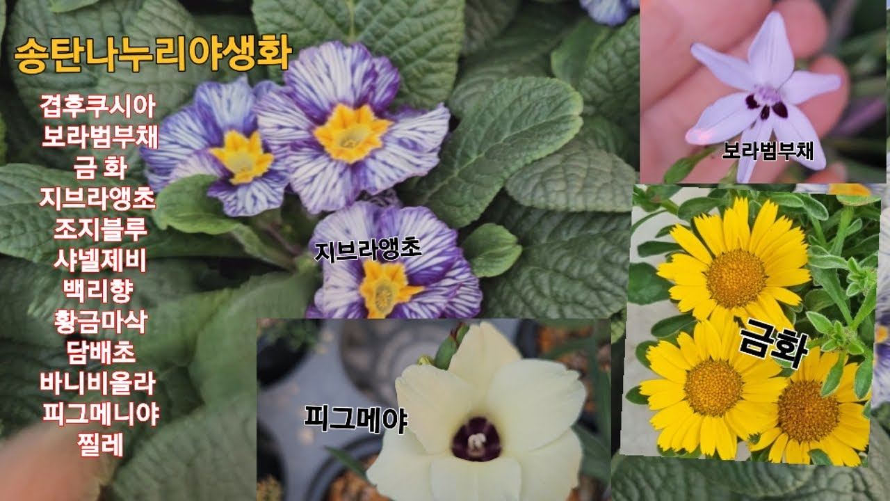 2026년 2월 28일