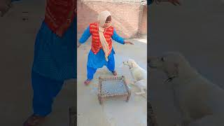 Mamma Mamma Potty Hai Bhagwan Kya Julm Hai Comedy Funny