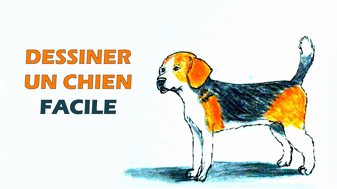 Comment dessiner un chien facile facile etape par etape - YouTube