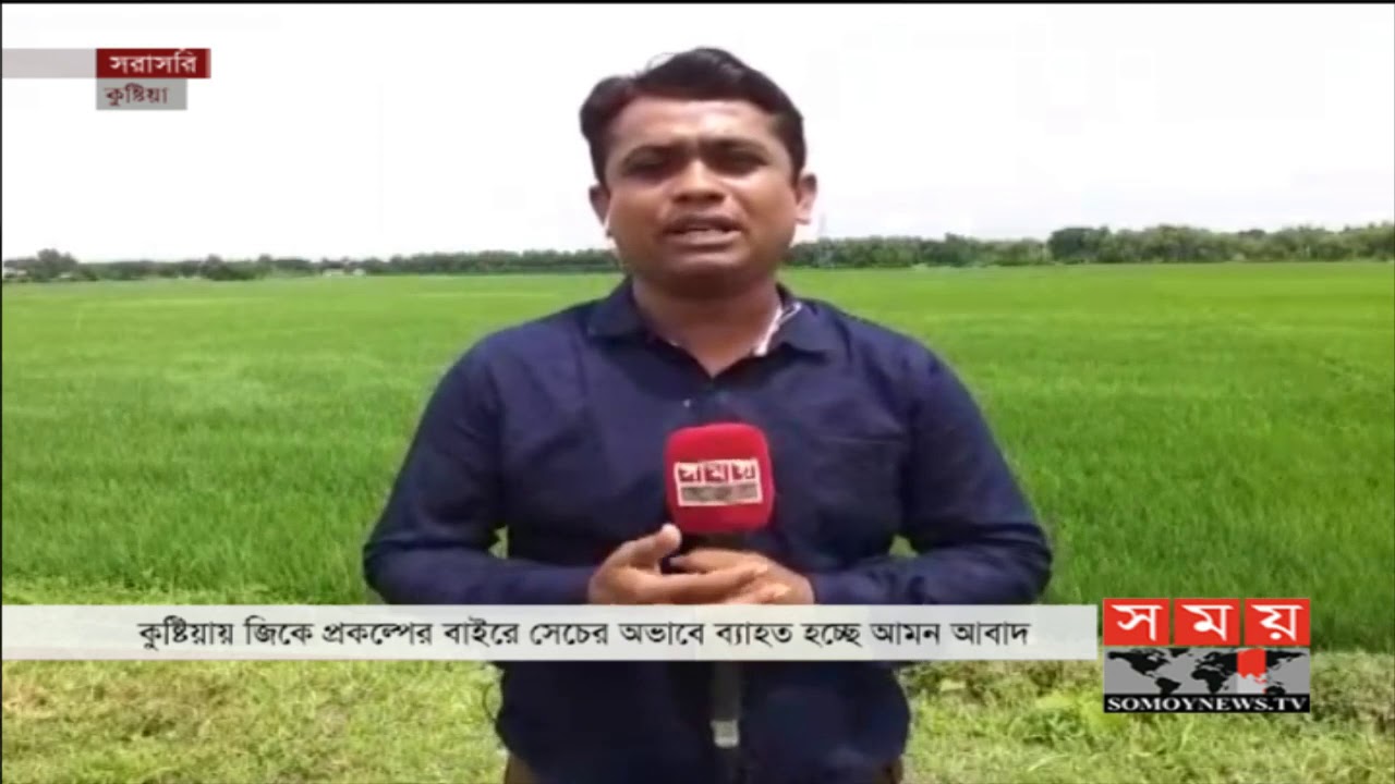 bangladeshi latest tv news কুষ্টিয়ায় সেচের অভাবে থমকে আছে আমন আবাদ | Agri News | Paddy