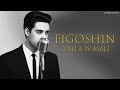 Figoshin Lalla W Mali Melancholic 60s Motown Soul