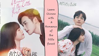 Learn Chinese with A Romance of The Little Forest