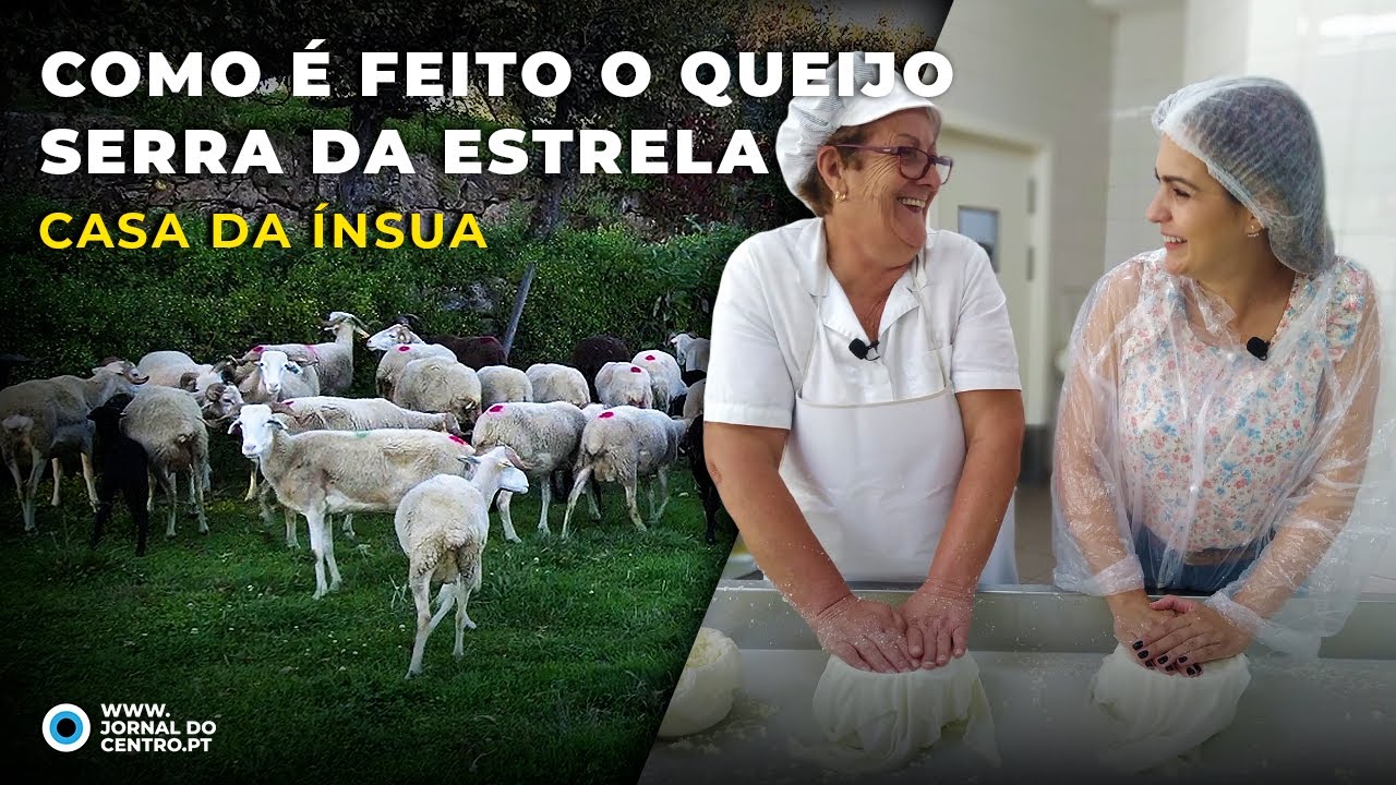Como é feito o Queijo Serra da Estrela na Casa da Ínsua