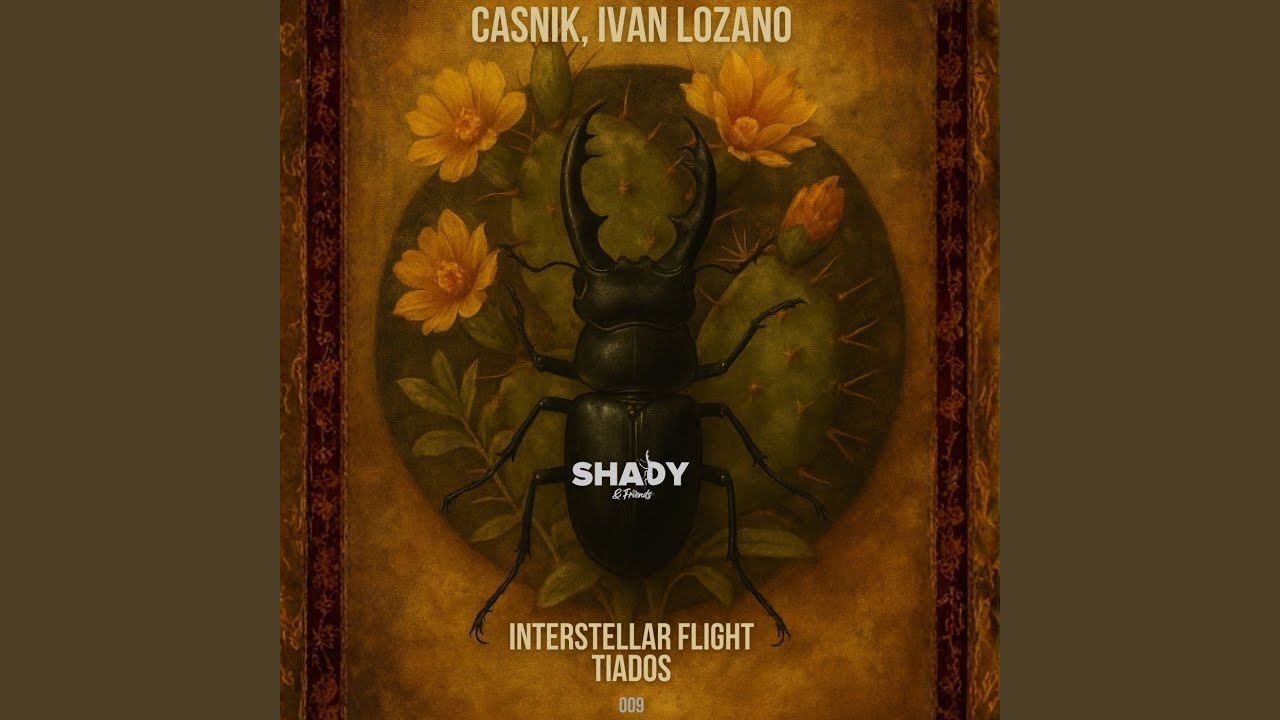 Ver Interstellar Flight en YouTube Ver Interstellar Flight en YouTube