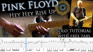 Pink Floyd feat. Andriy Khlyvnyuk - Hey Hey Rise Up solo lesson (with tablatures and backing track)