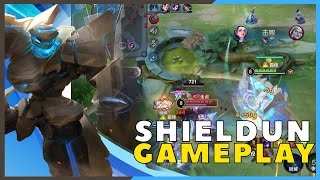 Shieldun The Most Annoying Support | Honor of King