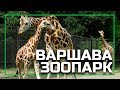 Зоопарк в Варшаве, как провести выходной с ребенком в Варшавском зоопарке (Warsaw Zoo)