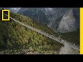 Visual and Musical Elements Analysis
