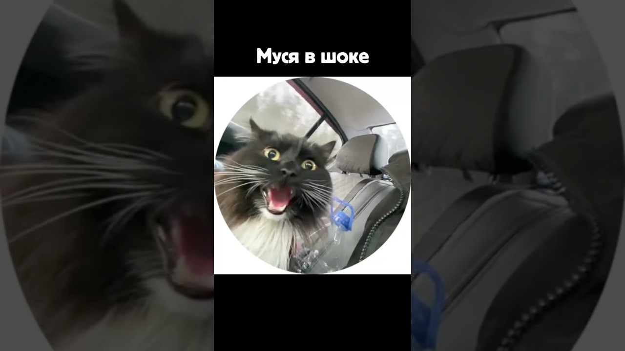 youtube video for Я хочу таких колег