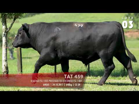 LOTE 03 - TAT 459