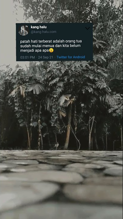story wa twitter 30 detik|| terbaru katakata keren||#shorts #status #twitter #terbaru#literasi