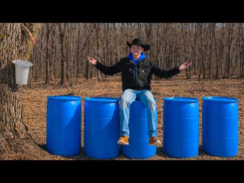 How Much Maple Sap Did We Collect?