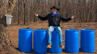 How Much Maple Sap Did We Collect?