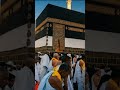 ya Allah kabhi kabhi Dil bahut thak jata hai...#sad#emotional #status🕊️😞🥀🩹🌍