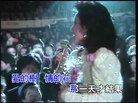 鄧麗君 - 甜蜜蜜 我要對你說 月亮代表我的心 在水一方 原鄉情濃 1984