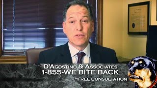 D'Agostino & Associates - Celebrating 25 Years of Helping the Injured