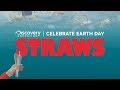 Celebrate Earth Day: Straws