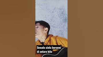 senada cinta bersemi di antara kita