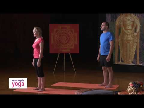Video: Yoga și Pierderea în Greutate: Asane Pentru începători