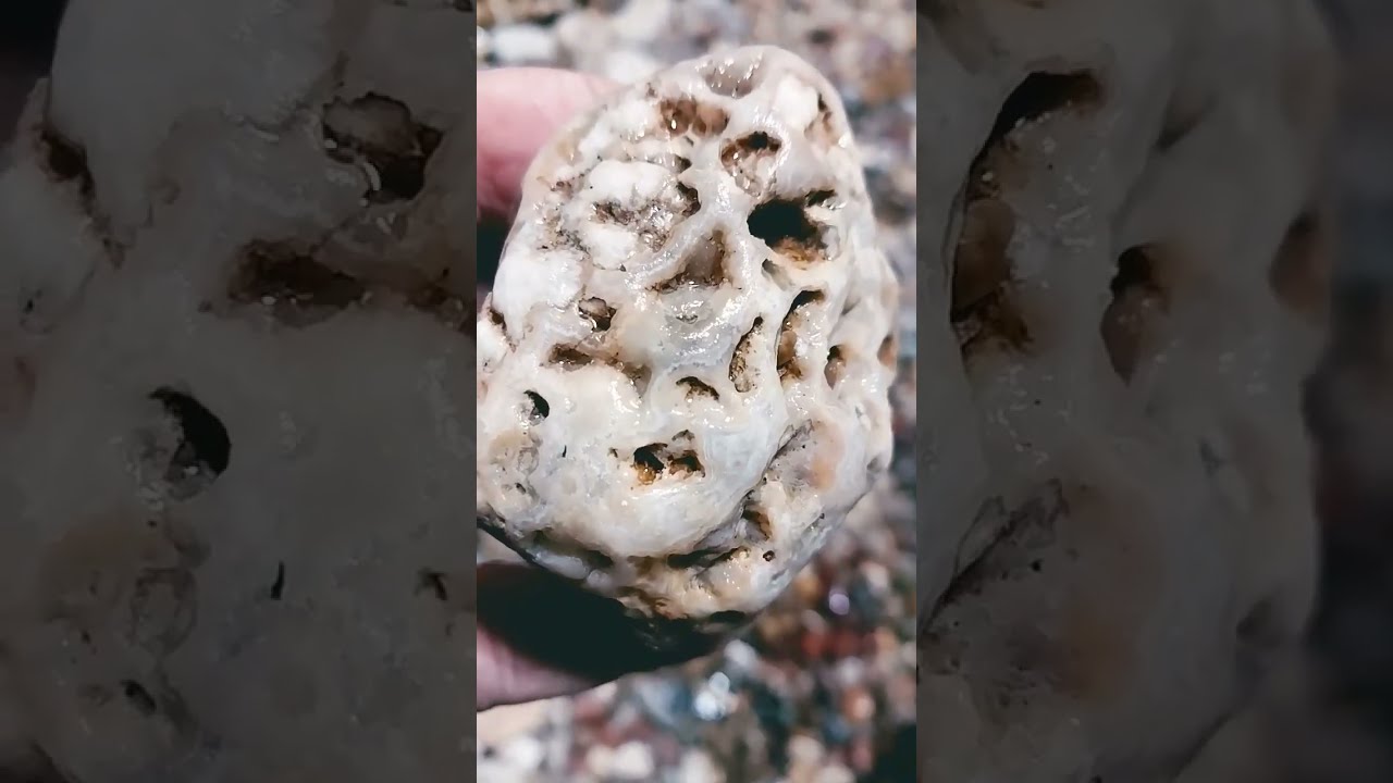 Rockhounding Find Crawford County Wisconsin