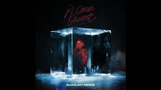 Djadja Dinaz - À coeur ouvert (audio officiel)