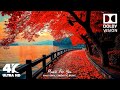 EARTH S MOST Beautiful Nature 4K HDR 60fps Dolby Vision EARTH S MOST Beautiful Nature 4K HDR 60fps Dolby Vision