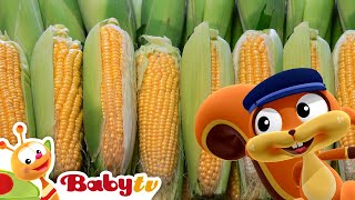 corn baby farmer babytv